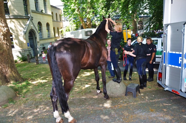 Polizeidirektion   091.jpg